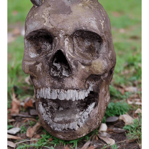 Foam Full Head Skull w/open mouth Realistic Props Drop Dead Design Studios 